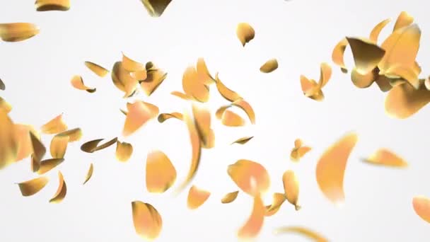 Petali Fiori Che Volano Con Canale Alfa Animazione Realistici Petali — Video Stock