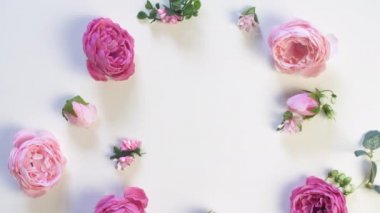 Beyaz yüzeyde birçok pembe gül çiçeği var. Çiçeklerin üst görüntüsü. Düğün geçmişi. 8 Mart.