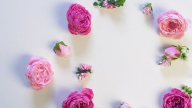 Beyaz yüzeyde birçok pembe gül çiçeği var. Çiçeklerin üst görüntüsü. Düğün geçmişi. 8 Mart.