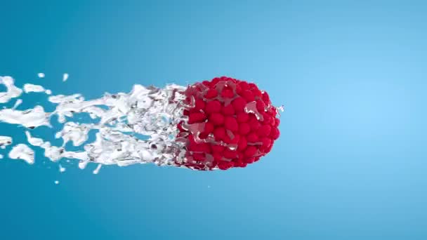 Renderanimation Von Flüssigem Wasser Das Durch Rote Himbeeren Spritzt Flüssigkeit — Stockvideo