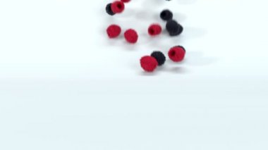 Birçok kırmızı ve siyah ahududu beyaz yüzeyde yuvarlanıyor. Taze 3 boyutlu gerçekçi meyvelerin düşüşünü ve yuvarlanmasını kapatın. 4k canlandırma görüntüsü.