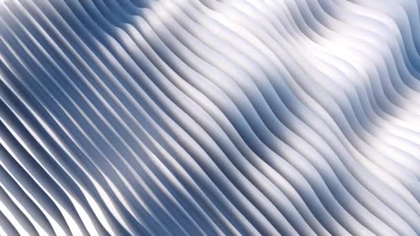 要旨青と白の自然光で波のように動く3次元の線 3Dレンダリングアニメーションの背景には波線があります 4Kシームレスループバック — ストック動画