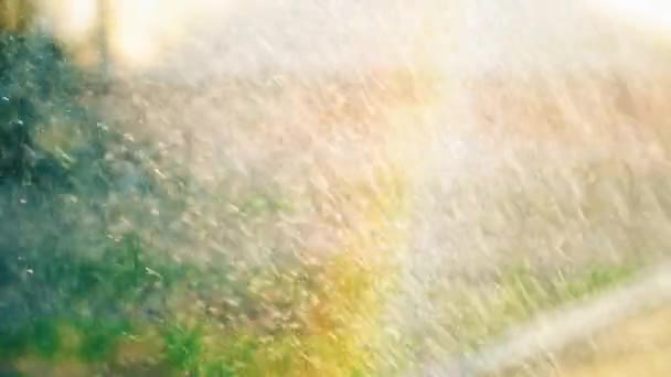 Small Drops Water Fly Form Beautiful Colored Rainbow Slow Motion — Stock Video