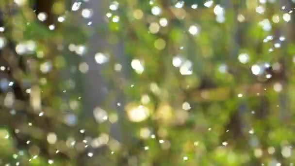 Bulles d'eau abstraites éclaboussent au ralenti dans la maison de jardin. Des gouttelettes d'eau volent sur un fond d'herbe verte .