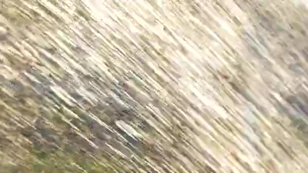 水がスローモーションで飛んで低下します 反射して太陽光で動く水の雨の終わり — ストック動画