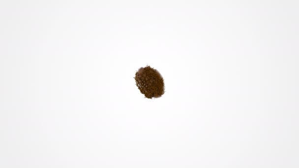 マットでコーヒーダストを爆発させたリアルな3Dコーヒー豆爆発 4Kレンダリングアニメーション映像 スローモーション — ストック動画
