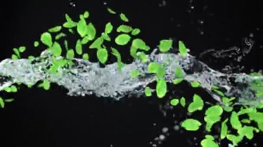 Kristal suyla uçan yeşil nane yaprağının üç boyutlu soyut animasyonu. Görüntüleri taze yapraklarla kapatın ve koyu arkaplana alfa matte chanel ile su sıçratın. 4k.