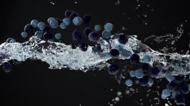 概要結晶水でブルーベリーやラズベリーを飛行させる3Dアニメーション 新鮮な素敵な果物で映像をレンダリングし アルファマットチャンネルで暗い背景にスプラッシュ液体を注ぐ — ストック動画