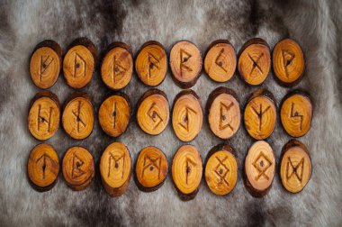 kürk üzerinde ahşap rünleri