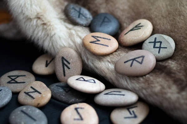 Stone runes on the fur — Stock Photo, Image