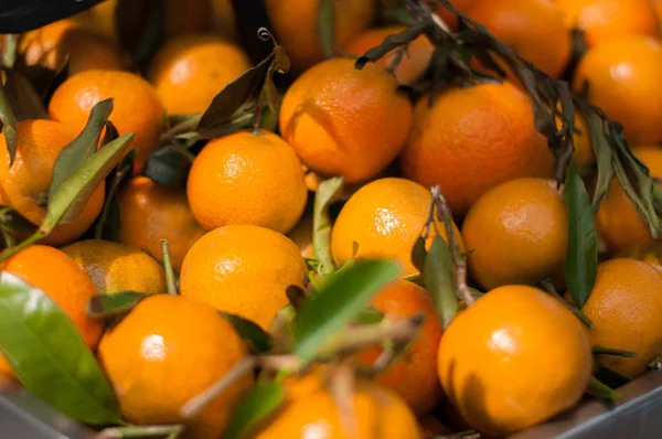 Die Mandarinen auf dem Markt — Stockfoto