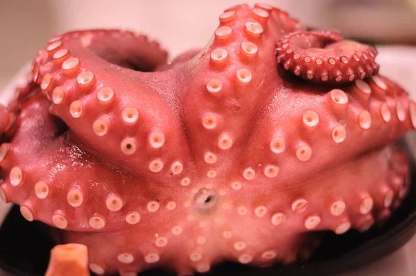 Natuurlijke Einde Versheid Octopus Mediterrane Markt — Stockfoto