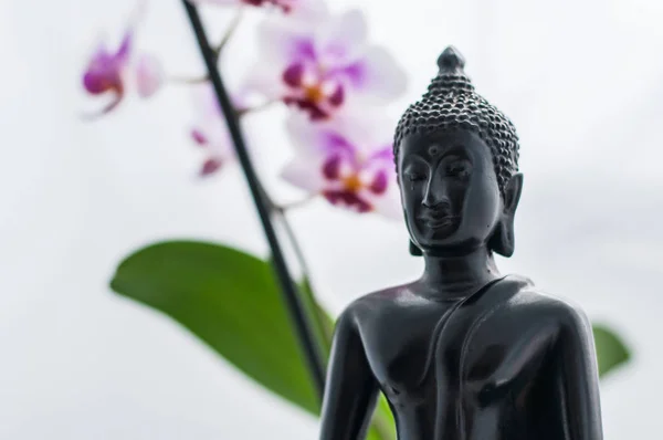Buddha e Orchidea — Foto Stock