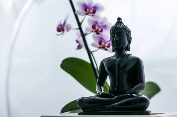 Budda i Orchidea — Zdjęcie stockowe