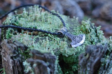 Çekiç, yosun kaplı bir kütükte.