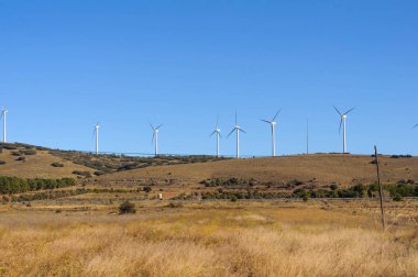 white windmills electricity in the field