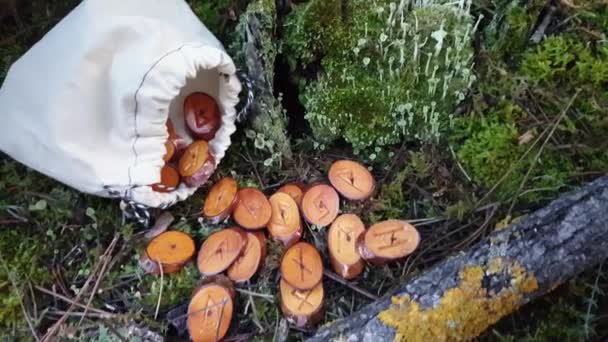 Un conjunto de piedras rúnicas de madera hechas a mano — Vídeo de stock