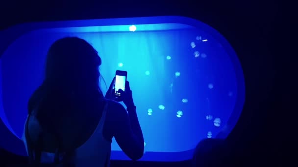 Silueta Una Chica Con Smartphone Frente Acuario Con Medusas — Vídeos de Stock