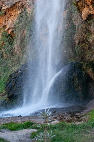 Ormanda küçük bir şelale