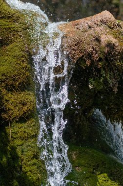 Ormanda dökülen suyun güzel çağlayanı