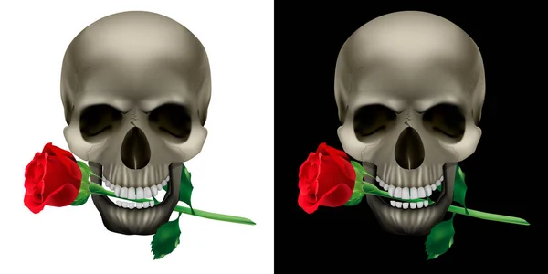 头骨，上面有一朵玫瑰在牙齿 — 图库矢量图片