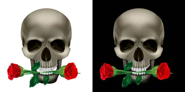 Crâne avec une rose dans les dents — Image vectorielle