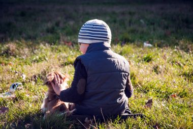köpek ve çocuk çimenlerin üzerinde