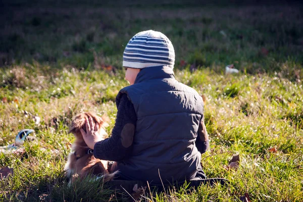 Puppy en kind op het gras — Stockfoto