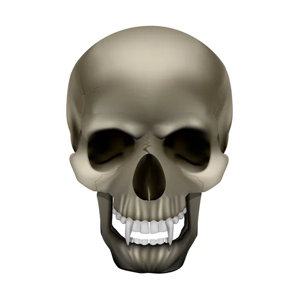 Cranio di vampiro con zanne — Vettoriale Stock