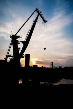 Vinç akşam güneşi