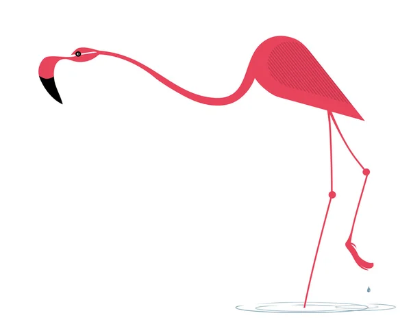 Eleganter rosa Flamingo — Stockvektor