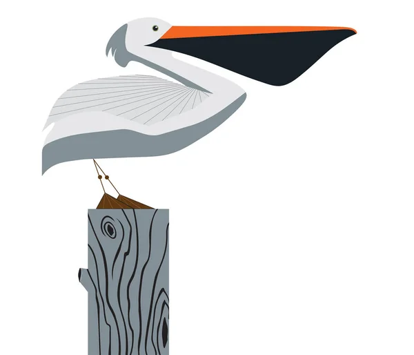 Pelicano sobre fundo branco — Vetor de Stock