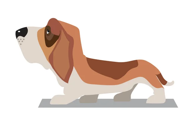 Image minimaliste de Basset-hound — Image vectorielle