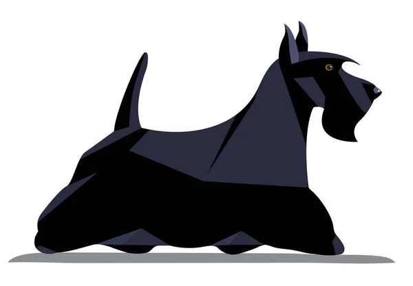 Scotch terrier minimalist image — Stock Vector