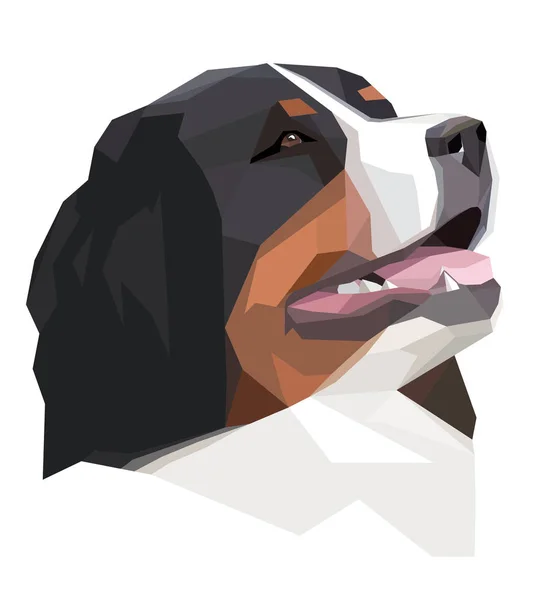 Berner Sennenhund im geometrischen Stil — Stockvektor