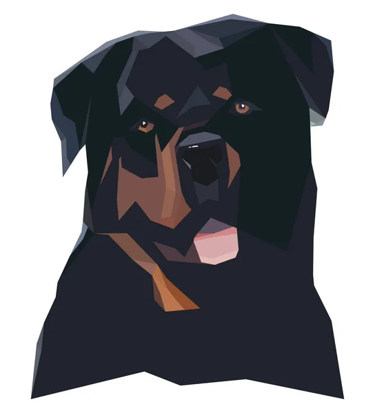 Retrato de Rottweiler em um estilo geométrico — Vetor de Stock