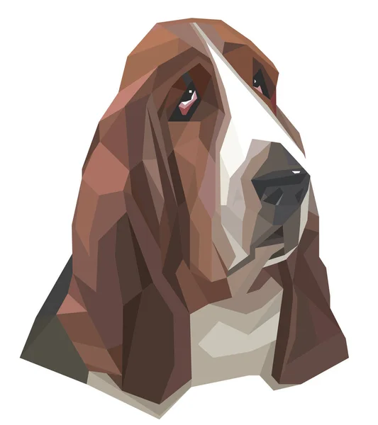 Portrait de basset-chien dans un style géométrique — Image vectorielle