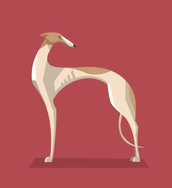 Greyhound köpek minimalist görüntü — Stok Vektör