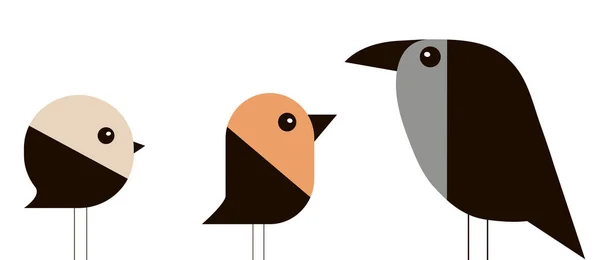 Veréb, a süvöltő és a crow, minimalista stílusban — Stock Vector