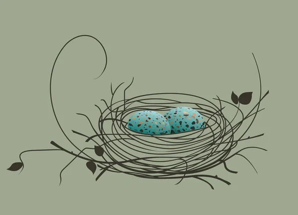 Vogeleier im Nest — Stockvektor