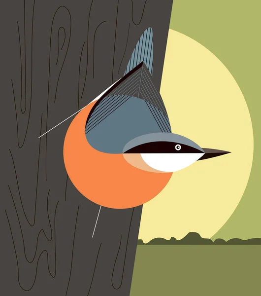 Nuthatch en el tronco de un árbol — Archivo Imágenes Vectoriales