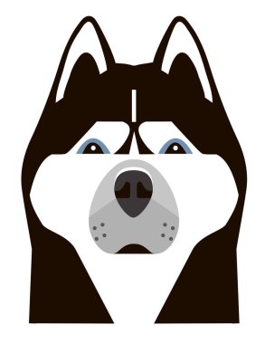 Minimalist tarzda bir Husky portresi
