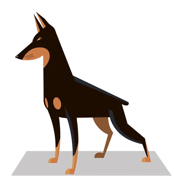 Doberman in a classic position — Stock Vector