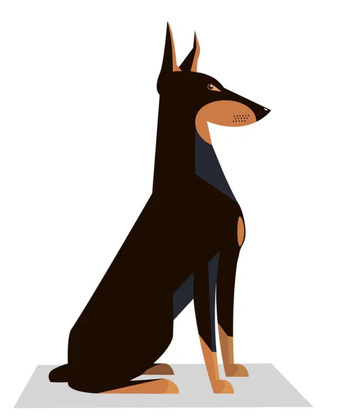 Doberman sits on a white background — Stock Vector