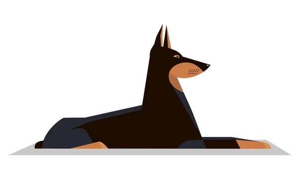 Dobermann lies on the ground — Stock Vector