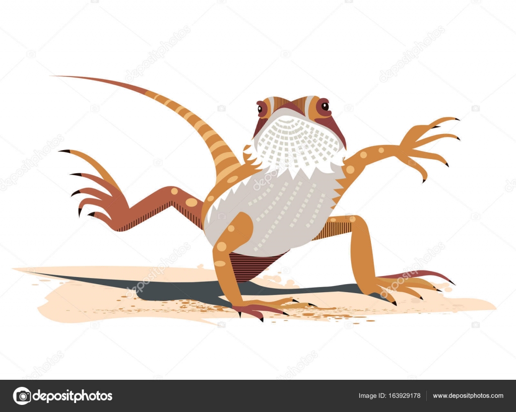 Draghi barbuti da colorare, image size:1024x818