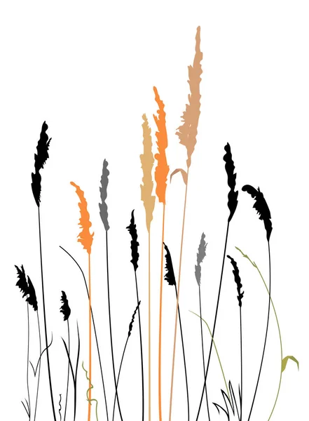 Степная трава на закате — стоковый вектор
