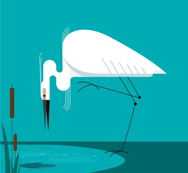 Little Egret está de pie en una pierna — Vector de stock