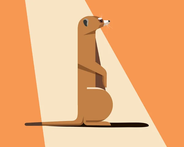 Meerkat bask no sol — Vetor de Stock