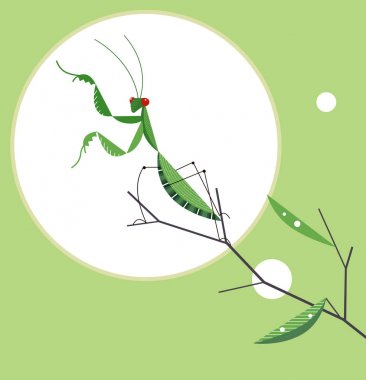 Bir ağaç dalı üzerinde Mantis